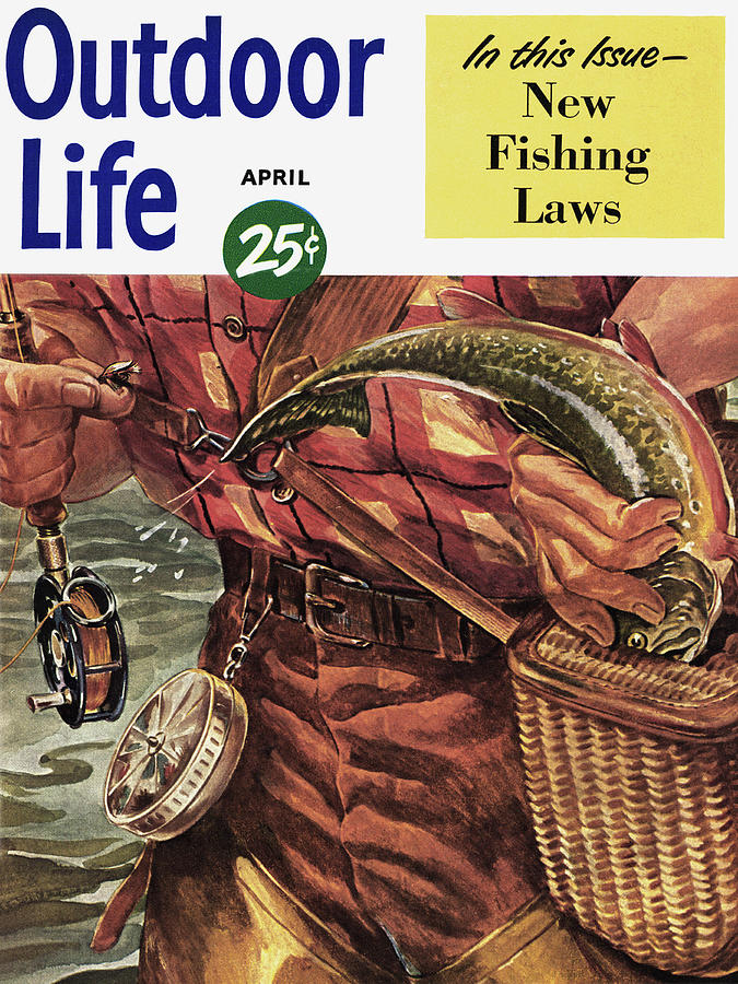 Trout Drawing - Outdoor Life Magazine Cover April 1950 by Outdoor Life