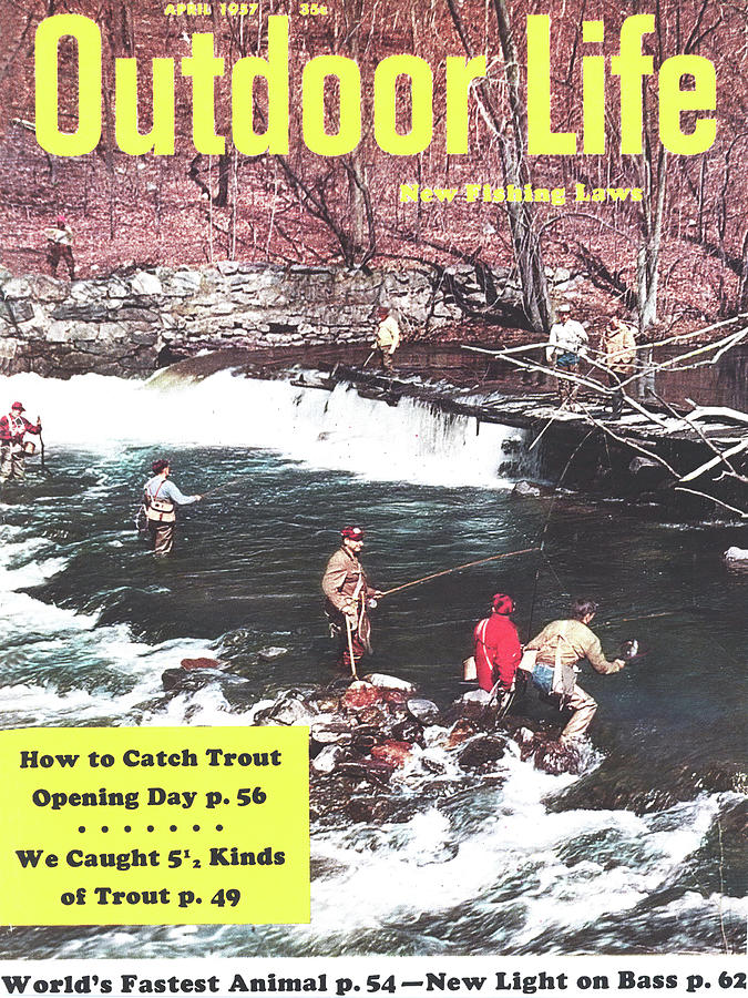 Waterfall Drawing - Outdoor Life Magazine Cover April 1957 by Outdoor Life