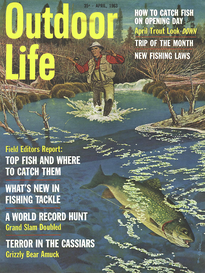 Trout Drawing - Outdoor Life Magazine Cover April 1963 by Outdoor Life