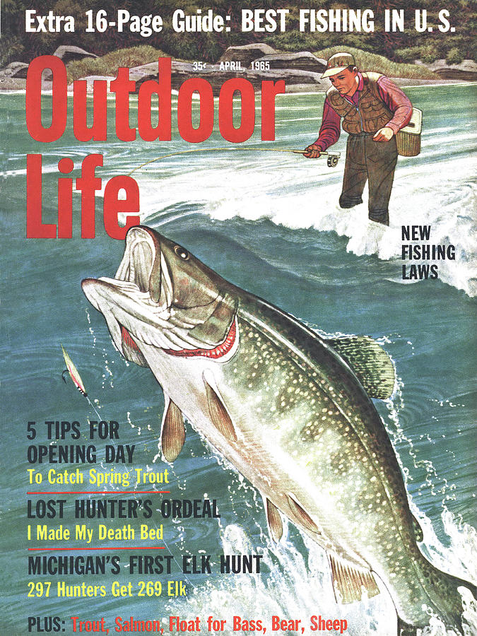 Trout Drawing - Outdoor Life Magazine Cover April 1965 by Outdoor Life