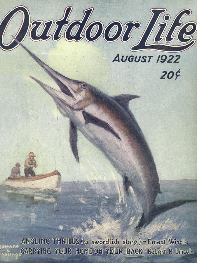 Swordfish Painting - Outdoor Life Magazine Cover August 1922 by Outdoor Life