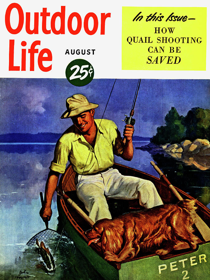 Fish Drawing - Outdoor Life Magazine Cover August 1950 by Outdoor Life