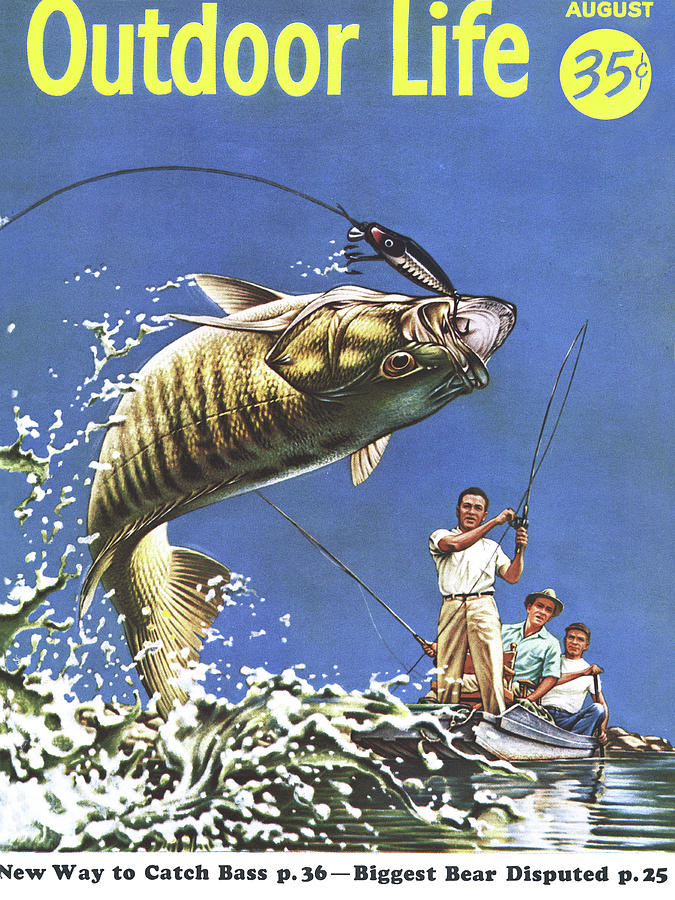 Bass Drawing - Outdoor Life Magazine Cover August 1956 by Outdoor Life