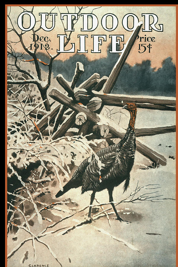 Outdoor Life Magazine Cover December 1912 Painting by Outdoor Life Outdoor Life Magazine Cover December 1912 Painting by Outdoor Life