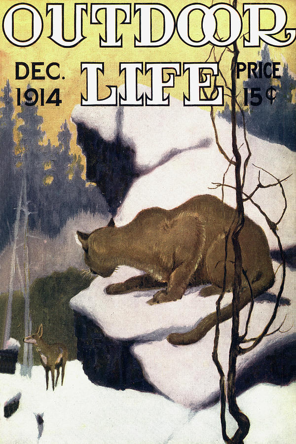 Deer Painting - Outdoor Life Magazine Cover December 1914 by Outdoor Life