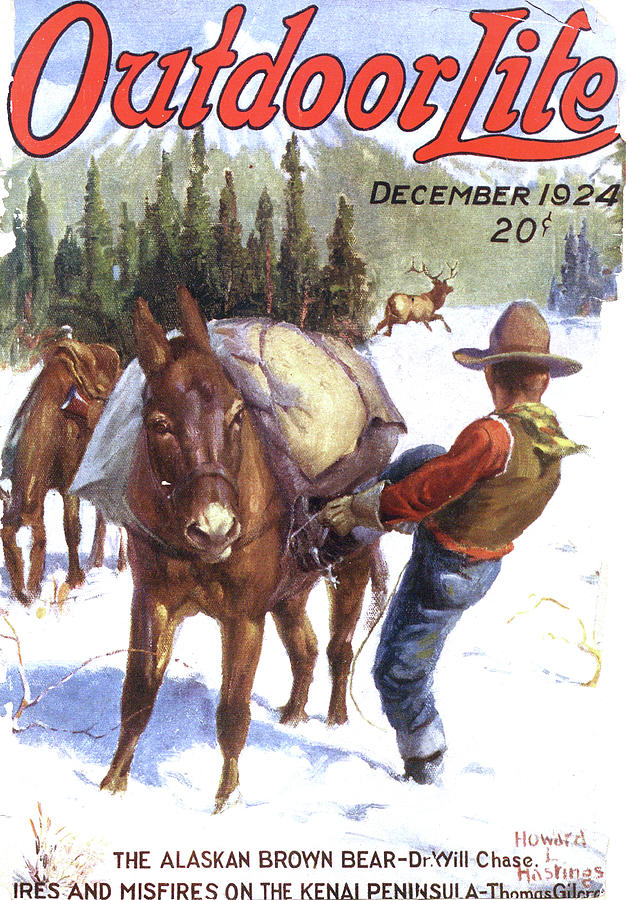 Horse Painting - Outdoor Life Magazine Cover December 1924 by Outdoor Life