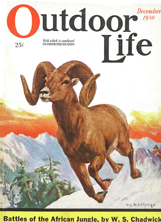 Winter Painting - Outdoor Life Magazine Cover December 1930 by Outdoor Life