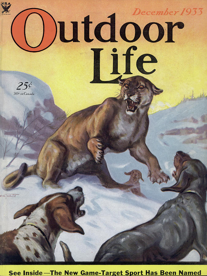 Winter Painting - Outdoor Life Magazine Cover December 1933 by Outdoor Life