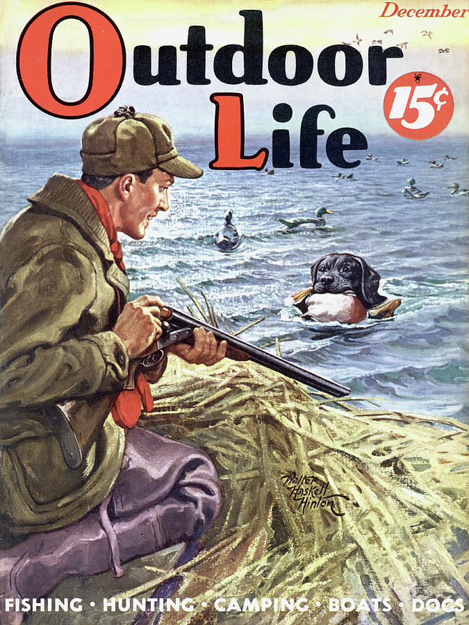 Duck Painting - Outdoor Life Magazine Cover December 1938 by Outdoor Life
