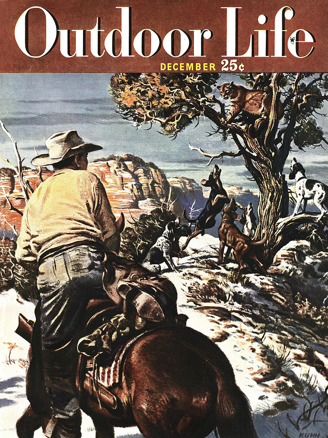 Dog Drawing - Outdoor Life Magazine Cover December 1949 by Outdoor Life