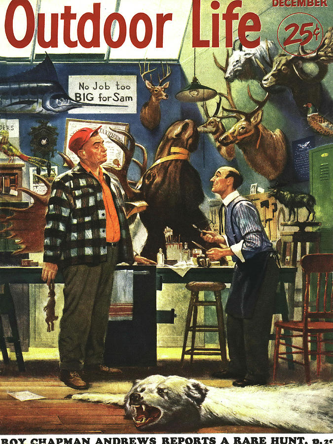 Moose Drawing - Outdoor Life Magazine Cover December 1952 by Outdoor Life