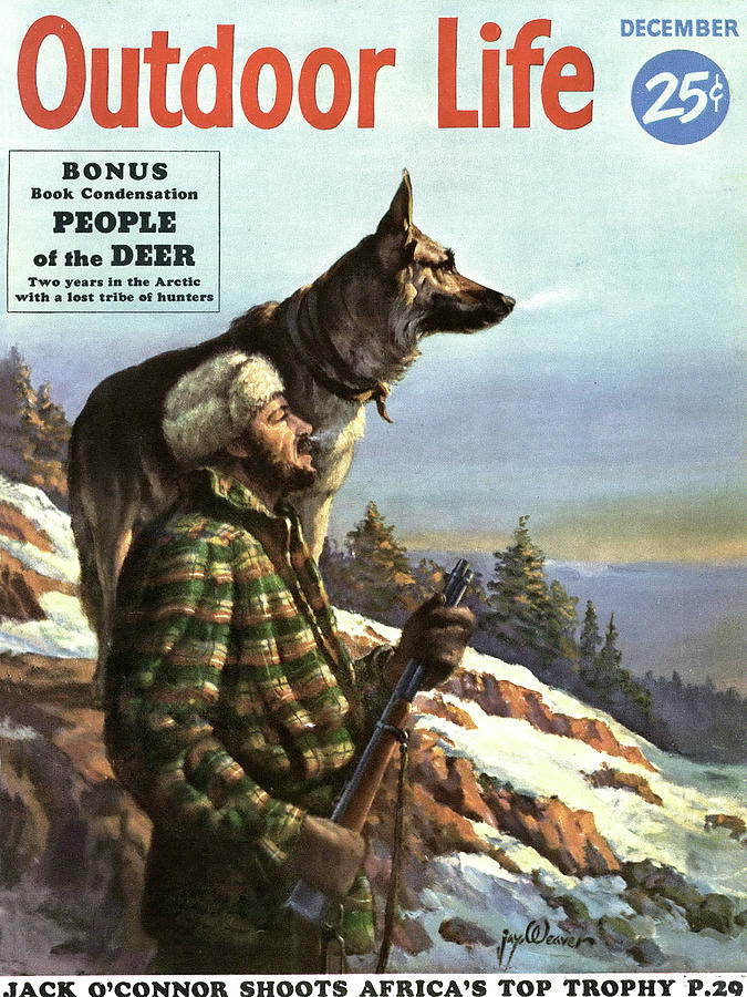 Winter Drawing - Outdoor Life Magazine Cover December 1953 by Outdoor Life