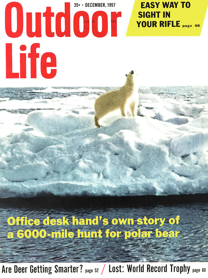 Bear Drawing - Outdoor Life Magazine Cover December 1957 by Outdoor Life