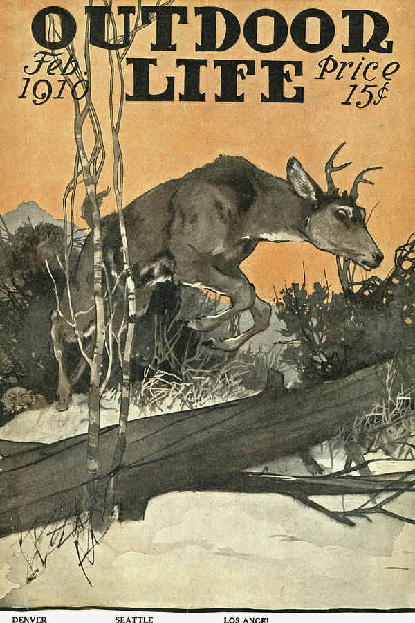 Deer Painting - Outdoor Life Magazine Cover February 1910 by Outdoor Life