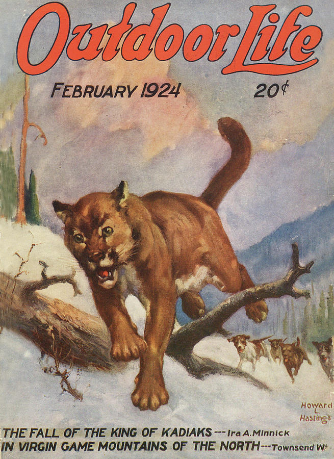 Dog Painting - Outdoor Life Magazine Cover February 1924 by Outdoor Life