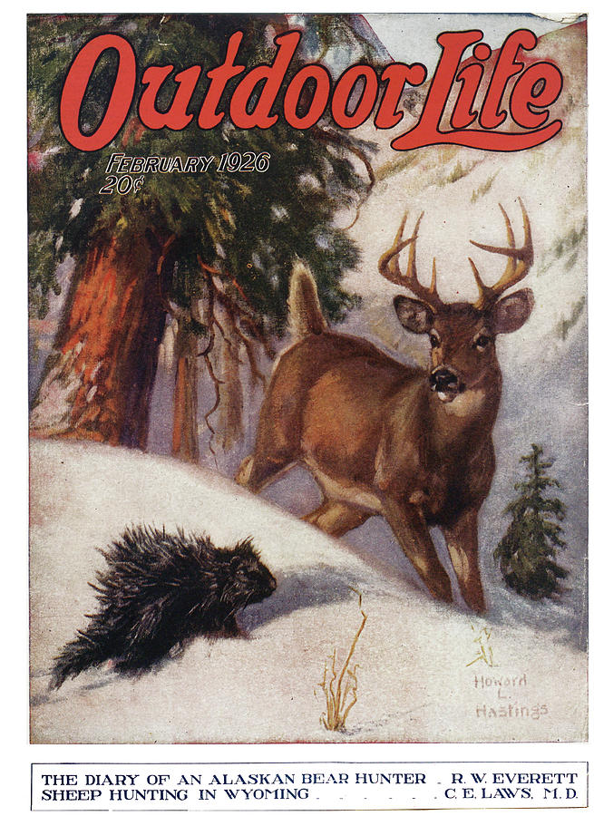 Deer Painting - Outdoor Life Magazine Cover February 1926 by Outdoor Life