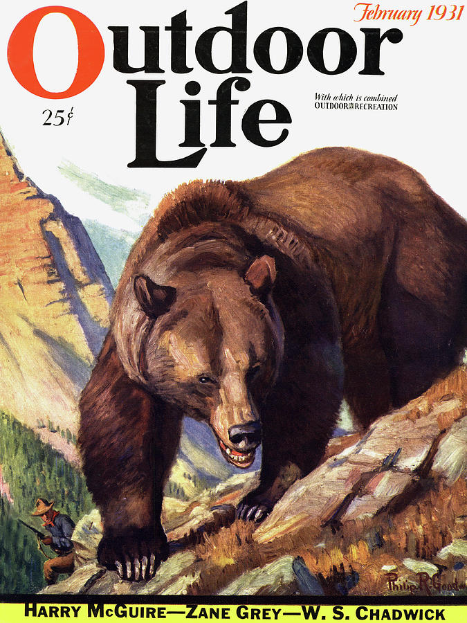 Outdoor Life Magazine Cover February 1931 Painting by Outdoor Life ...