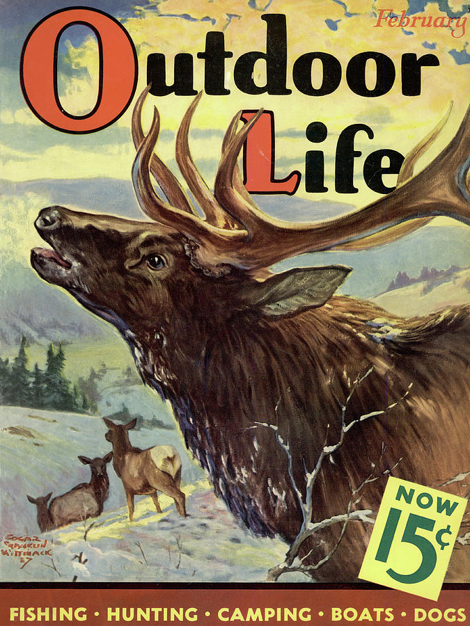 Outdoor Life Magazine Cover February 1938 Painting by Outdoor Life ...