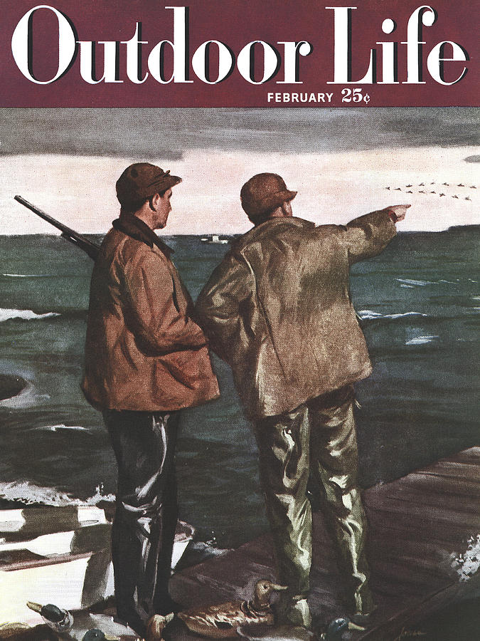 Duck Drawing - Outdoor Life Magazine Cover February 1949 by Outdoor Life