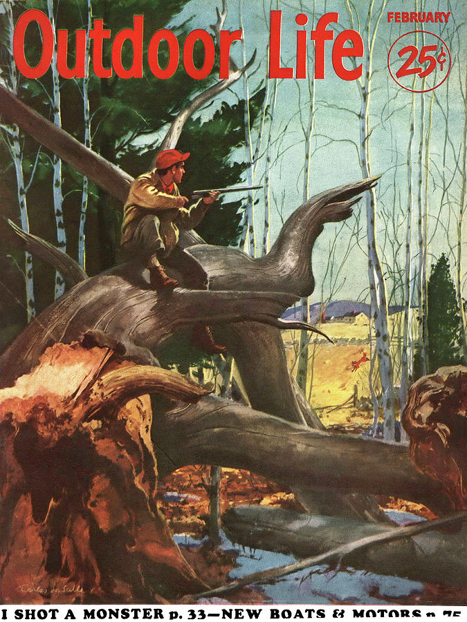 Tree Drawing - Outdoor Life Magazine Cover February 1953 by Outdoor Life