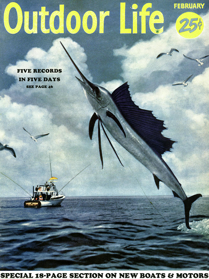 Fish Drawing - Outdoor Life Magazine Cover February 1954 by Outdoor Life