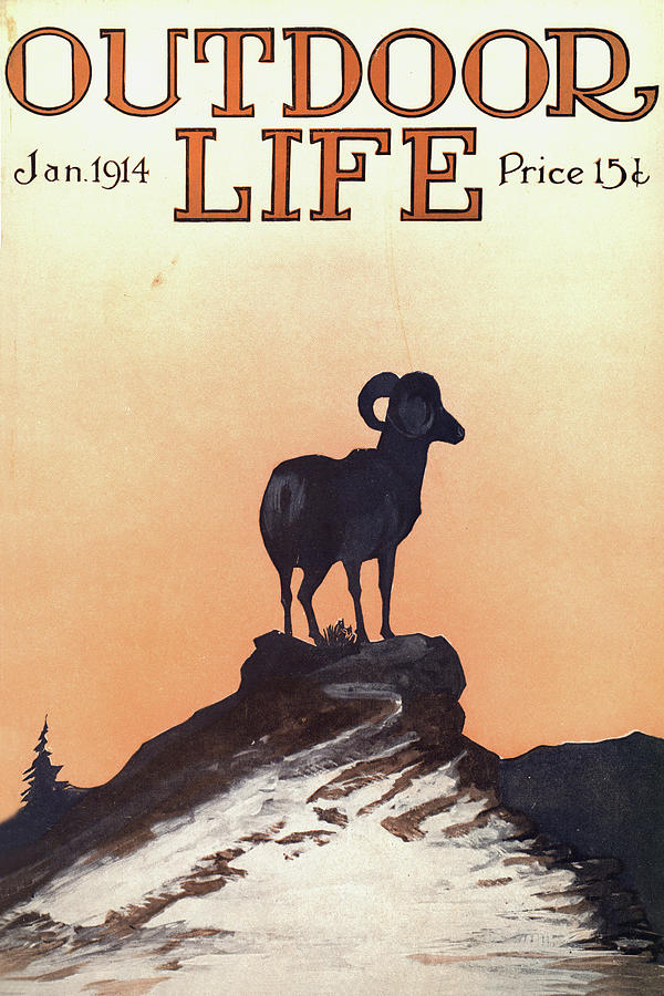 Mountain Painting - Outdoor Life Magazine Cover January 1914 by Outdoor Life