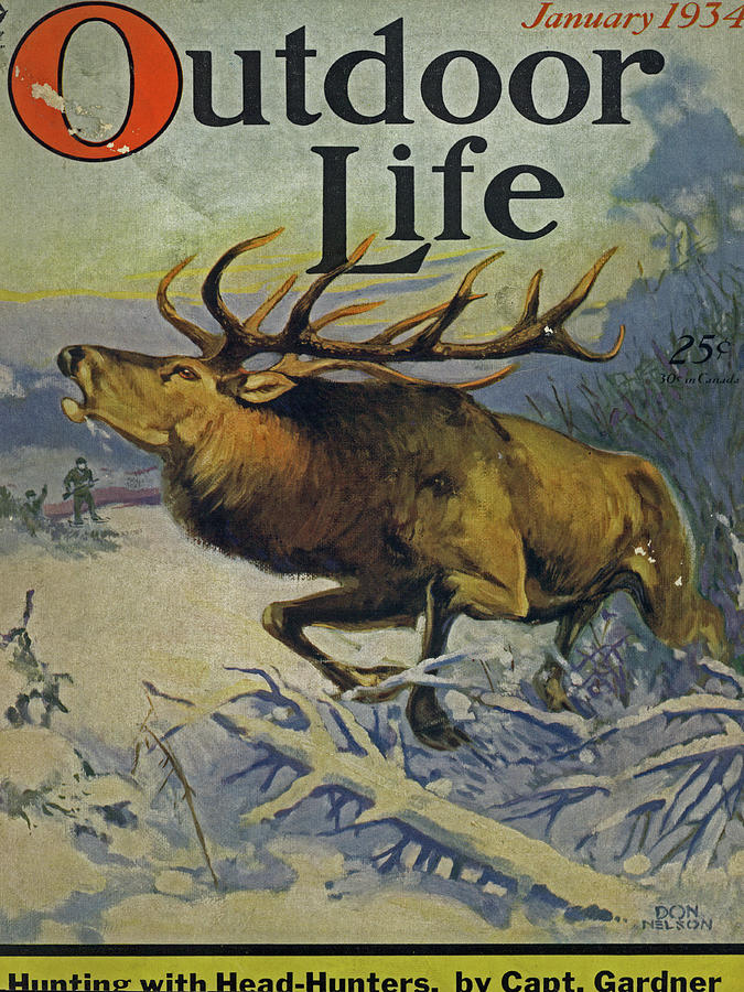 Winter Painting - Outdoor Life Magazine Cover January 1934 by Outdoor Life