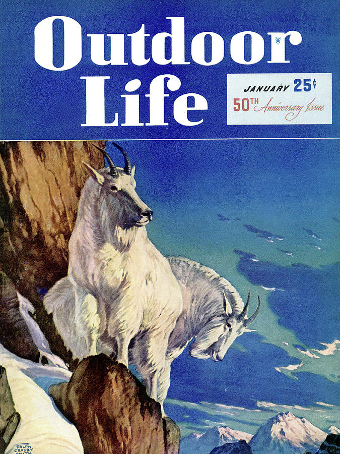 Mountain Goat Drawing - Outdoor Life Magazine Cover January 1948 by Outdoor Life