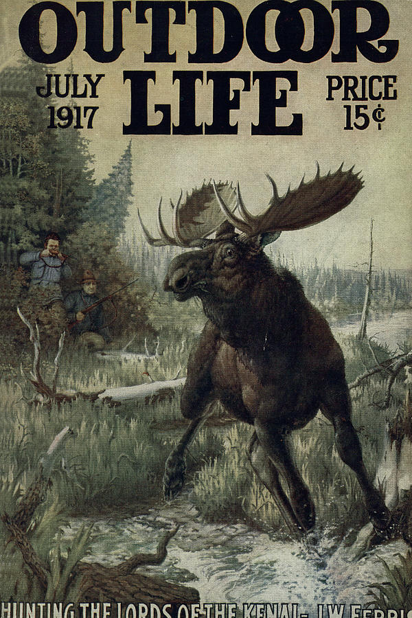 Moose Painting - Outdoor Life Magazine Cover July 1917 by Outdoor Life