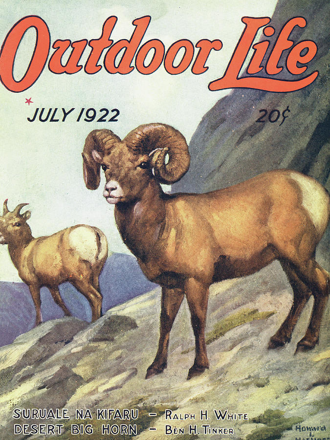Mountain Drawing - Outdoor Life Magazine Cover July 1922 by Outdoor Life