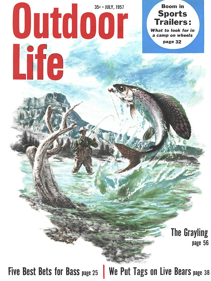 Fish Drawing - Outdoor Life Magazine Cover July 1957 by Outdoor Life