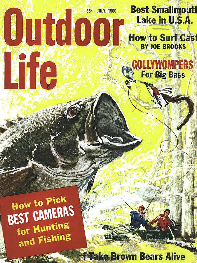 Bass Drawing - Outdoor Life Magazine Cover July 1960 by Outdoor Life