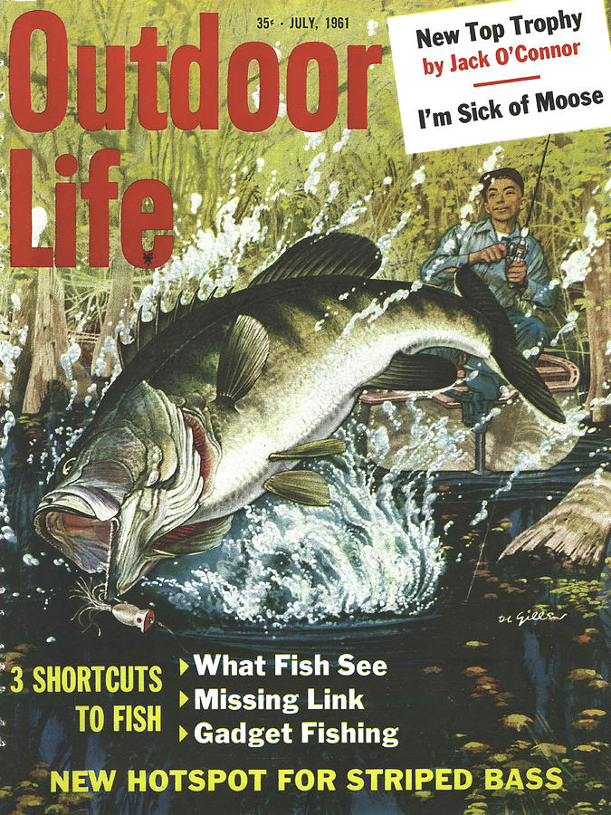 Outdoor Life Magazine Cover July 1962 Drawing by Outdoor Life - Pixels