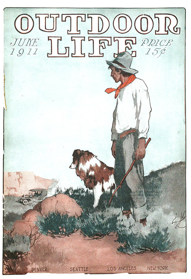 Dog Painting - Outdoor Life Magazine Cover June 1911 by Outdoor Life
