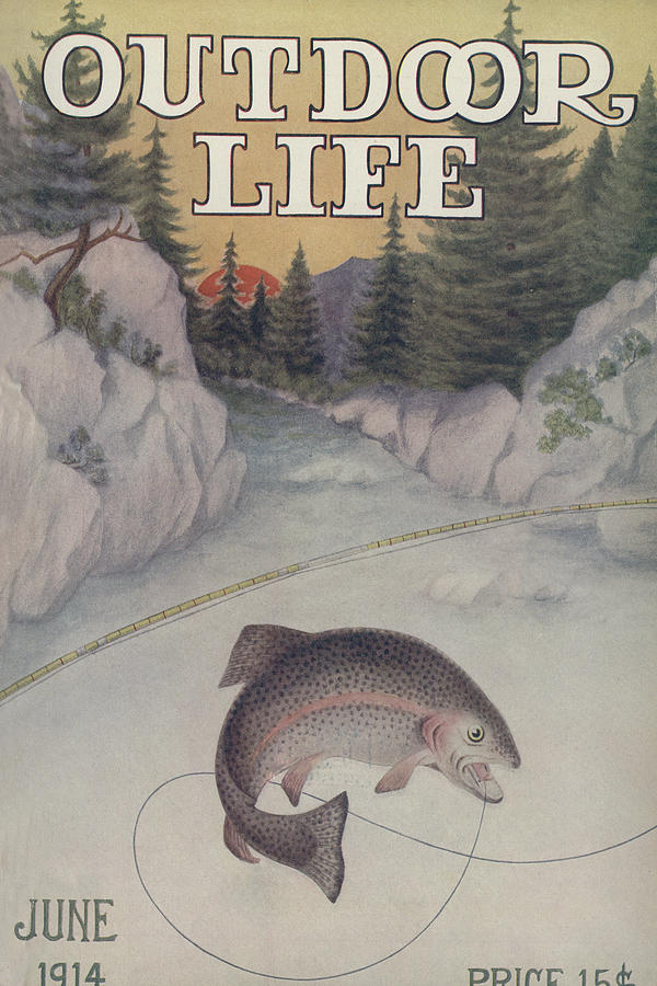 Salmon Painting - Outdoor Life Magazine Cover June 1914 by Outdoor Life