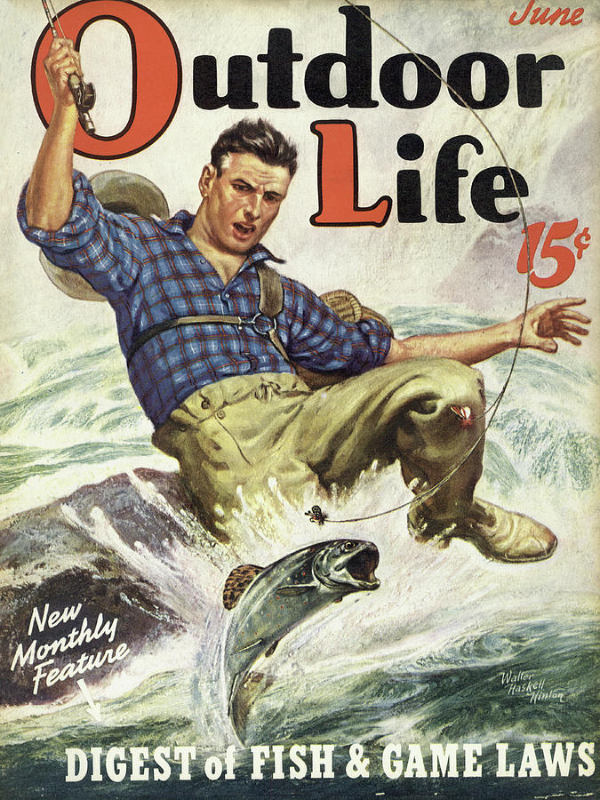 Outdoor Life Magazine Cover June 1939 Painting by Outdoor Life - Fine ...