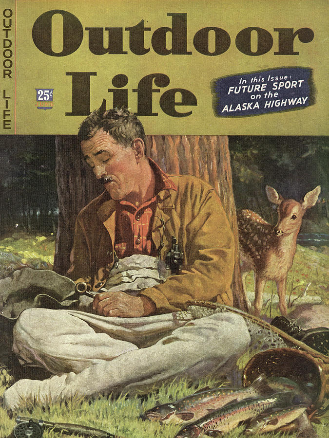 Deer Painting - Outdoor Life Magazine Cover June 1944 by Outdoor Life