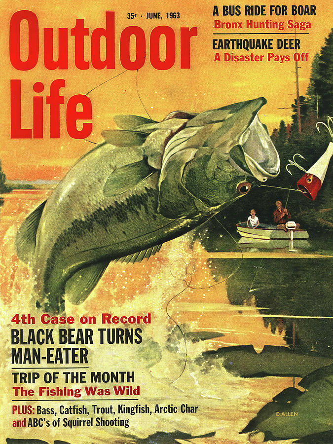 Bass Drawing - Outdoor Life Magazine Cover June 1963 by Outdoor Life