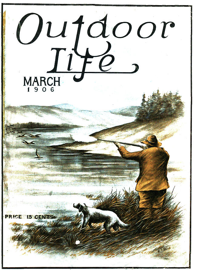Dog Painting - Outdoor Life Magazine Cover March 1906 by Outdoor Life