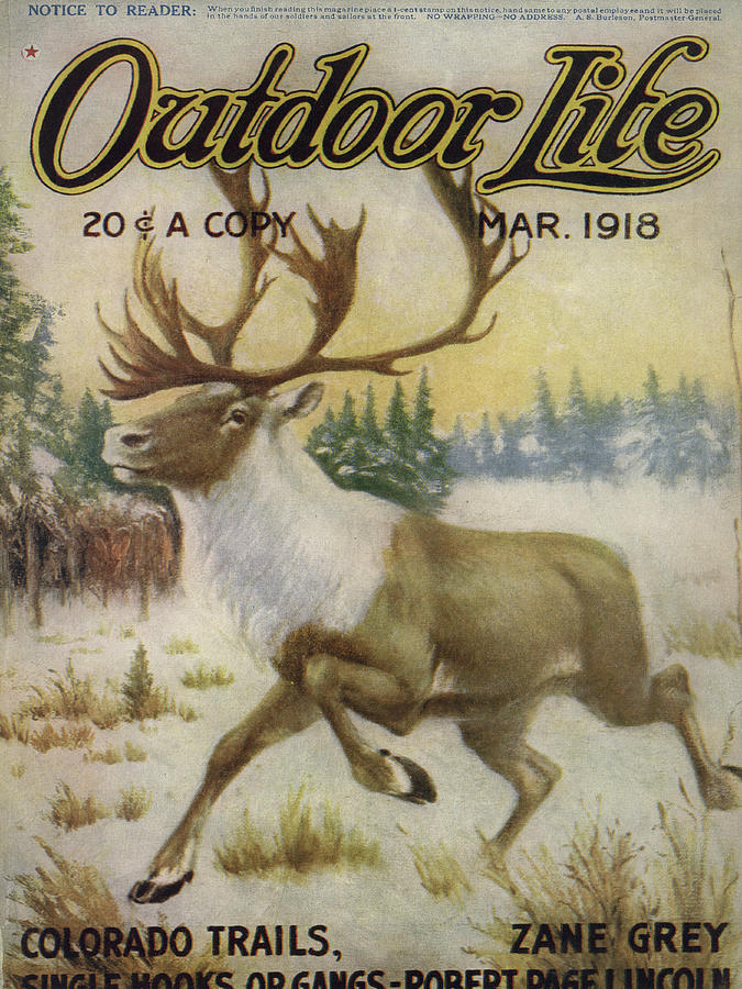 Winter Painting - Outdoor Life Magazine Cover March 1918 by Outdoor Life