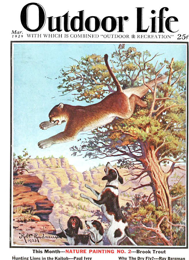 Dog Painting - Outdoor Life Magazine Cover March 1929 by Outdoor Life