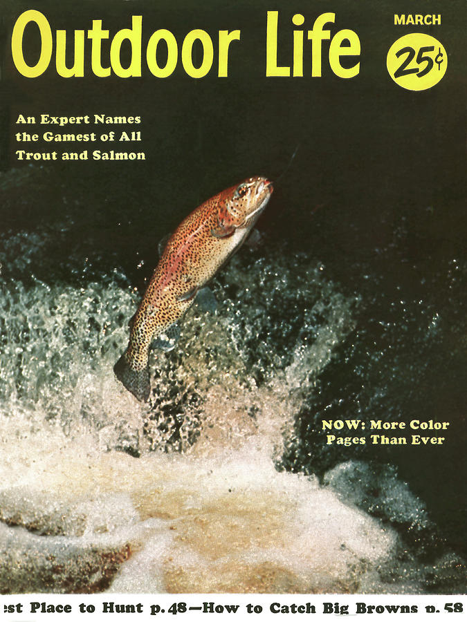 Trout Drawing - Outdoor Life Magazine Cover March 1956 by Outdoor Life