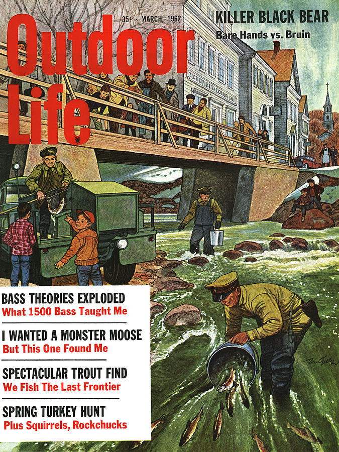 Trout Drawing - Outdoor Life Magazine Cover March 1962 by Outdoor Life