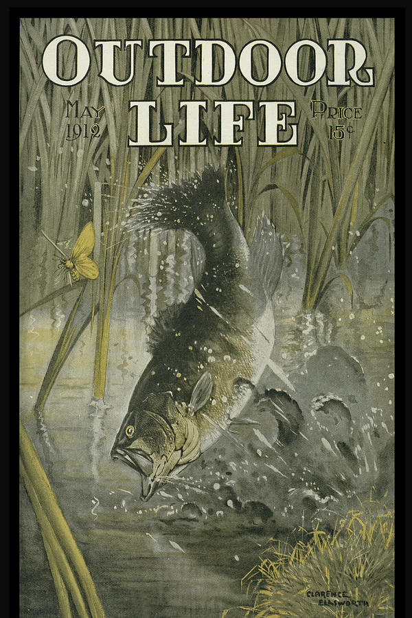 Outdoor Life Magazine Cover May 1912 Painting by Outdoor Life Outdoor Life Magazine Cover May 1912 Painting by Outdoor Life