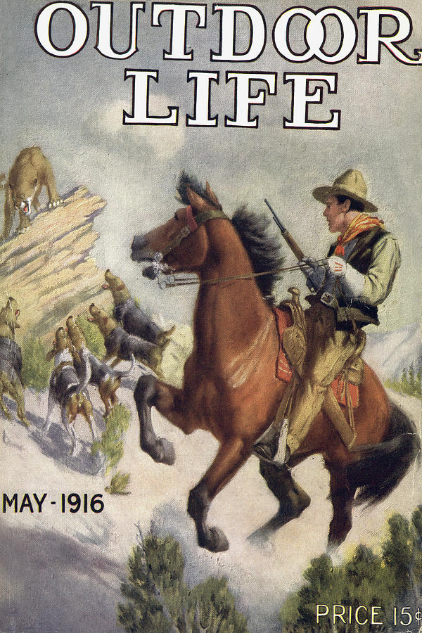 Dog Painting - Outdoor Life Magazine Cover May 1916 by Outdoor Life