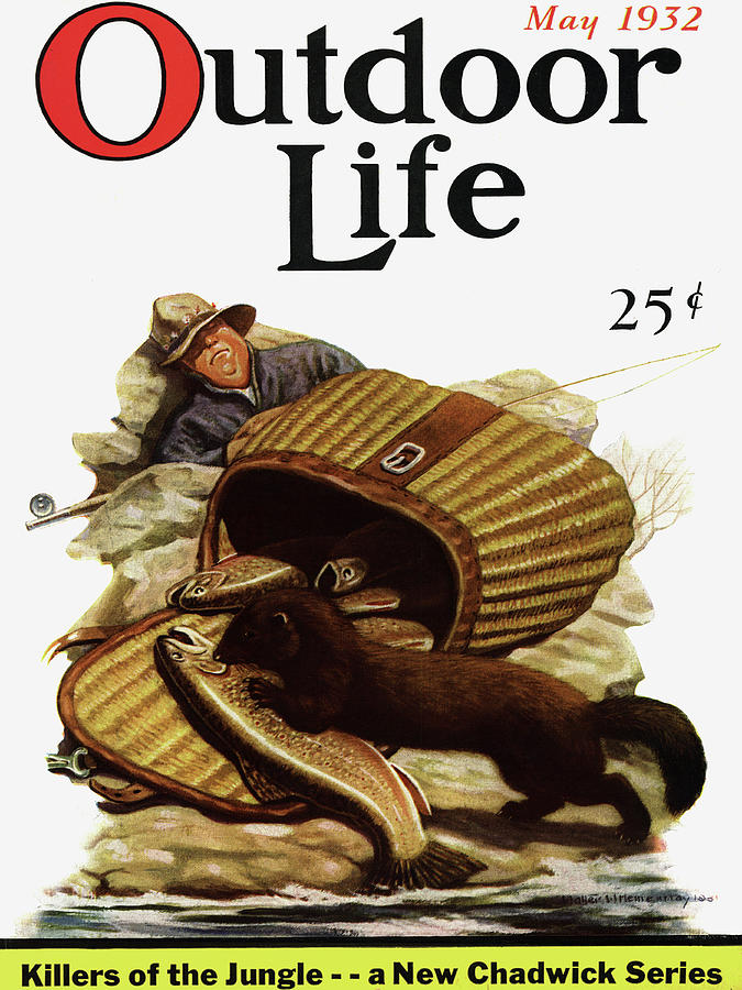 Spring Painting - Outdoor Life Magazine Cover May 1932 by Outdoor Life