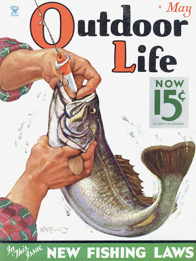 Outdoor Life Magazine Cover May 1935 Painting by Outdoor Life Outdoor Life Magazine Cover May 1935 Painting by Outdoor Life