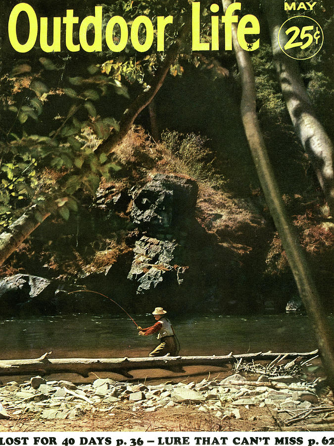 Jungle Drawing - Outdoor Life Magazine Cover May 1954 by Outdoor Life