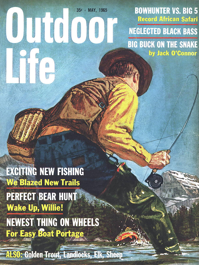 Trout Drawing - Outdoor Life Magazine Cover May 1965 by Outdoor Life