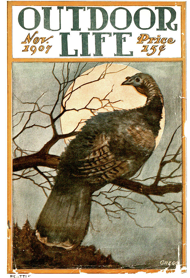 Outdoor Life Magazine Cover November 1907 Painting by Outdoor Life Outdoor Life Magazine Cover November 1907 Painting by Outdoor Life